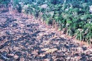 Partnerships & Advocacy